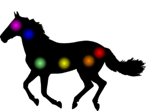 aura, chakra, horse-5341383.jpg